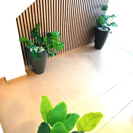 Larios Apartament Malaga