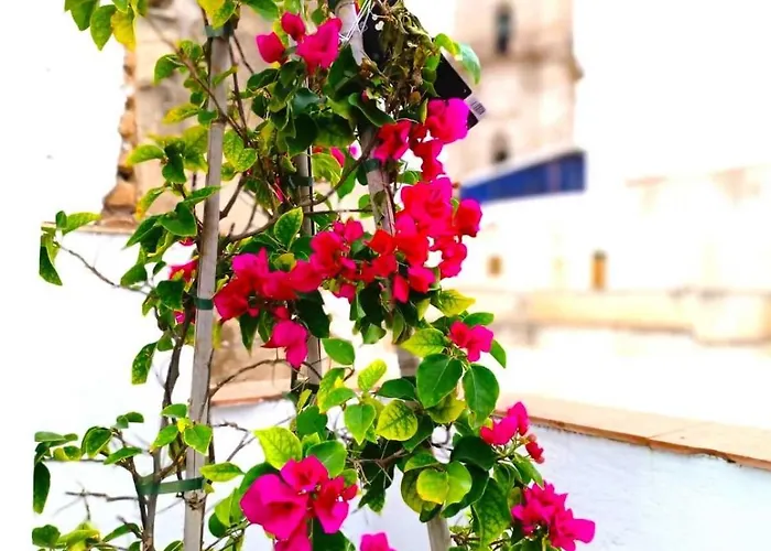 Appartement Larios Málaga