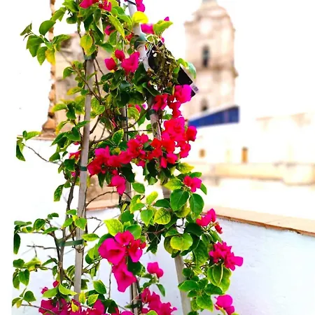 Apartment Larios Málaga